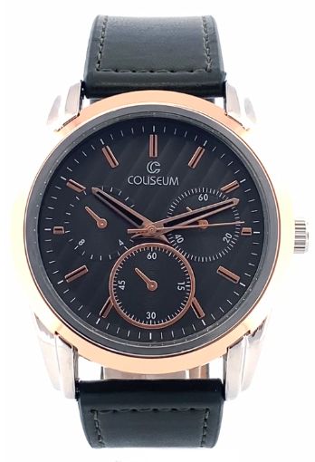 COLISEUM CLS8287-EK-07 KAYIS /  resmi